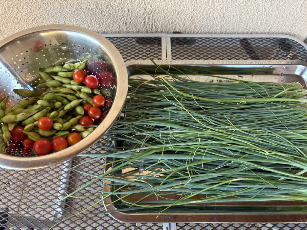 家庭菜園