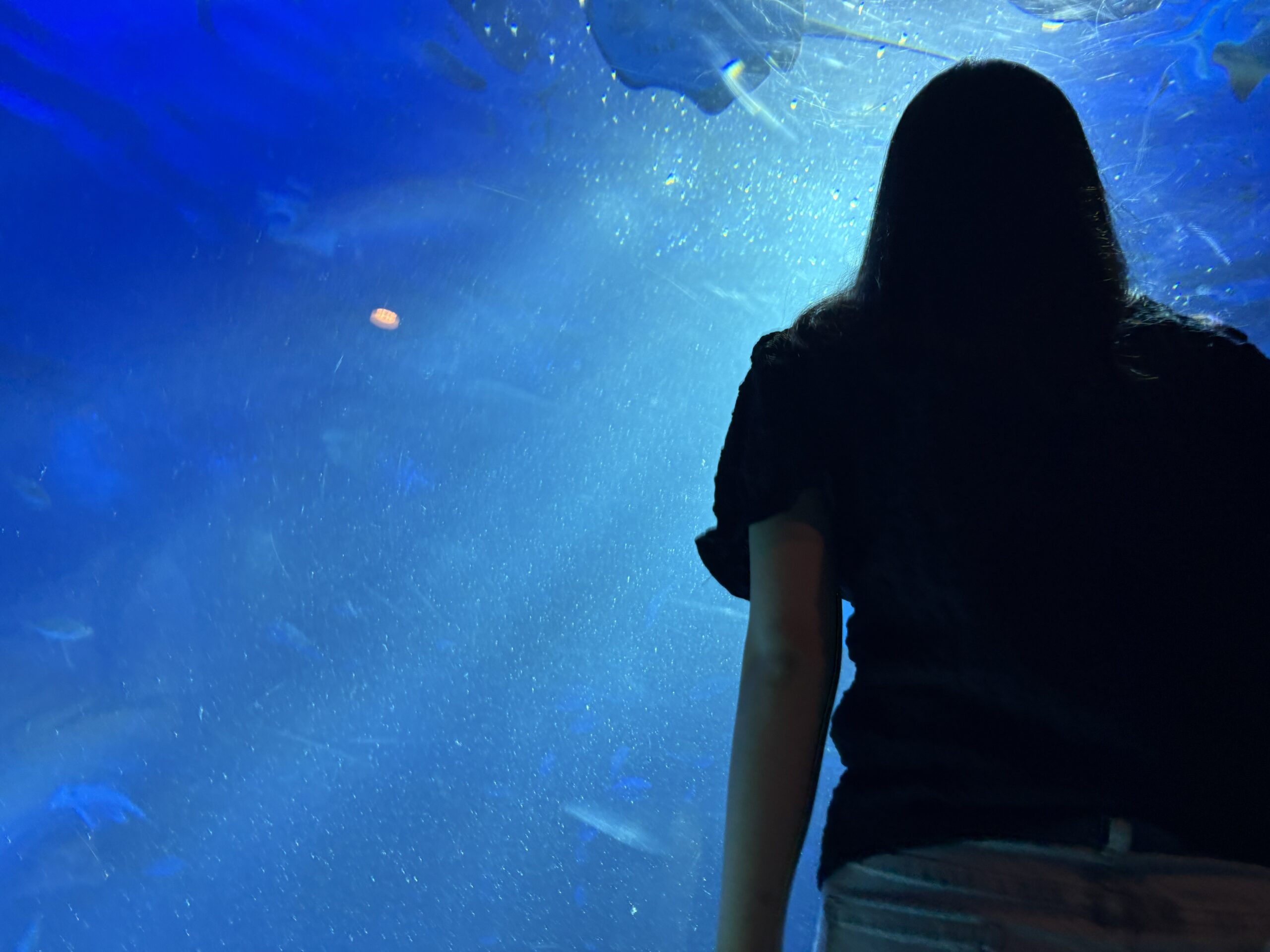 のとじま水族館