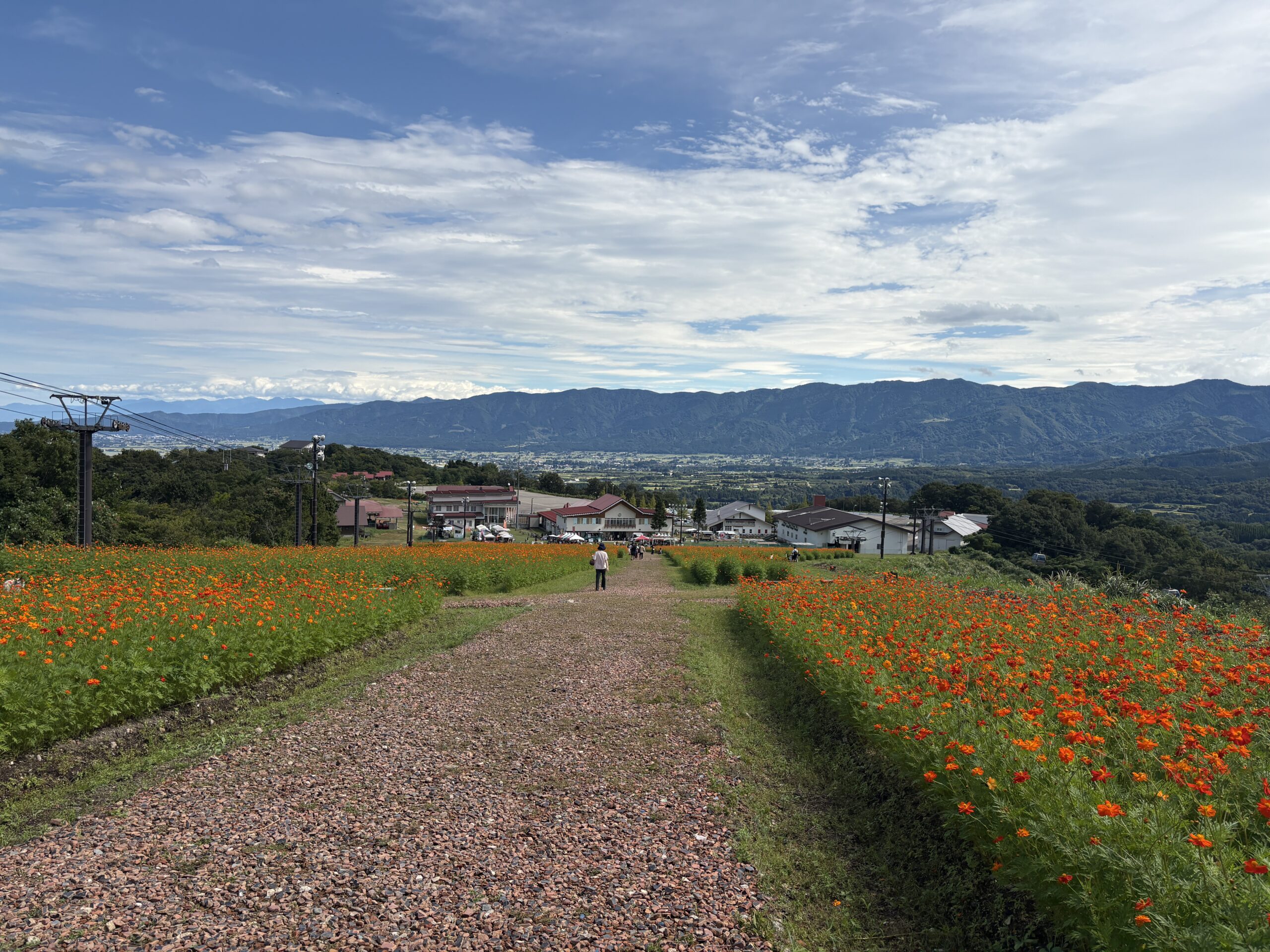 イオックスアローザ